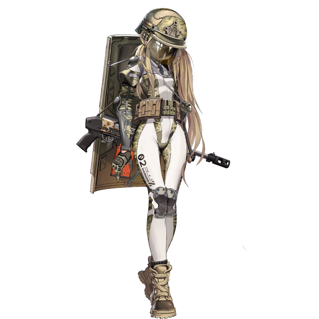 Soldier FA's Picture'