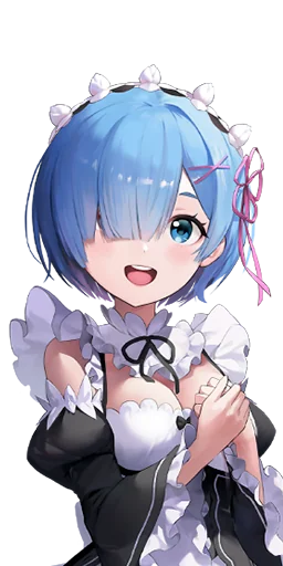 Rem's Picture'
